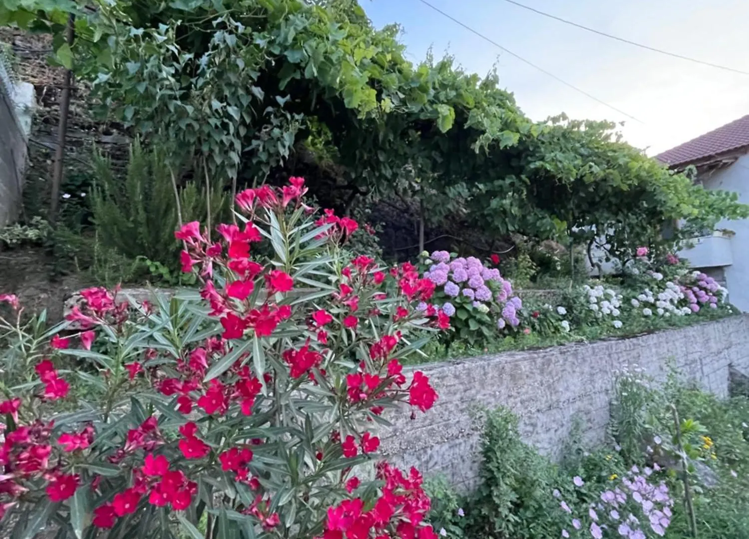 Elsa'S Villa Gjirokastër Albanië